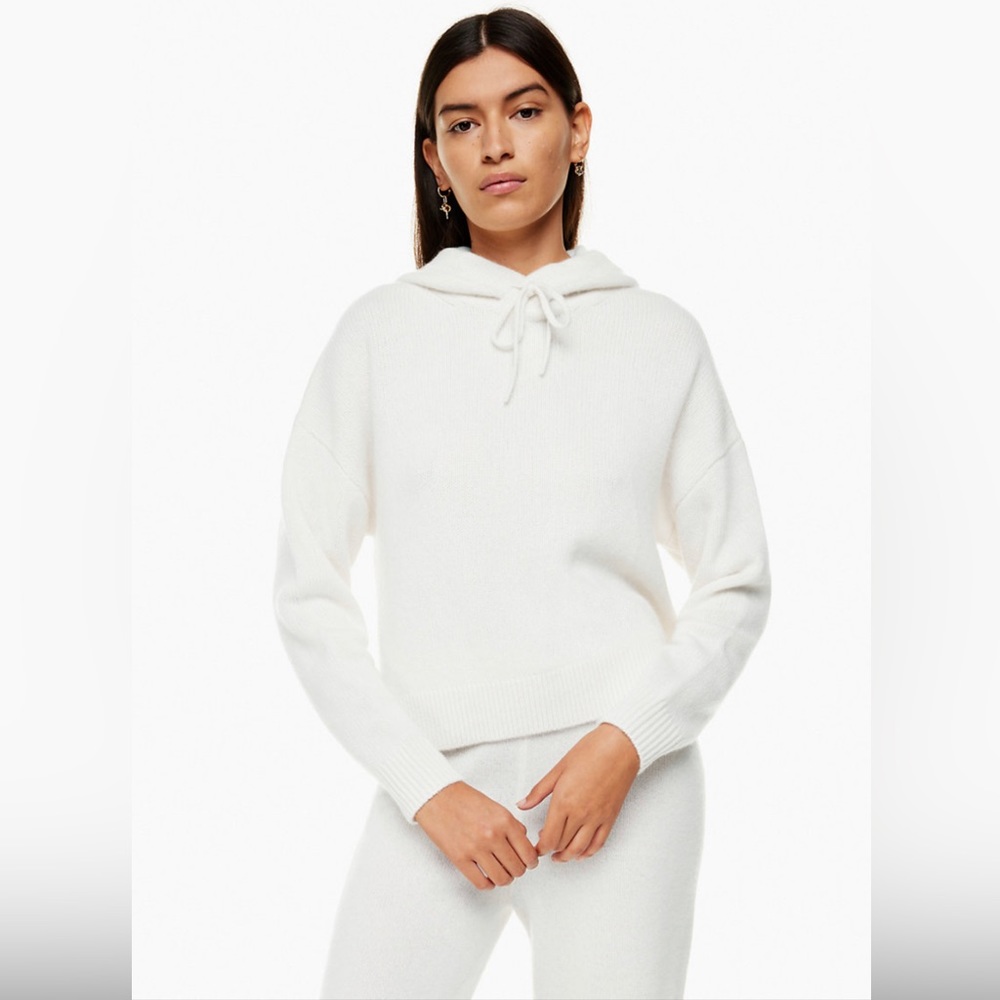 Aritzia Cashmere Hoodie